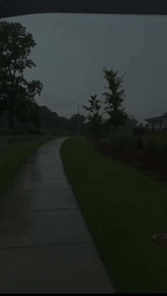 Cover for  46174 #shortvideosscoopz