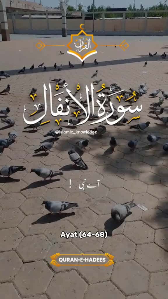 Cover for CapCut tiktokviralvideo fyp surah Quran foryourpagetiktok foryou flyp viral foryou islamic 96992 #us