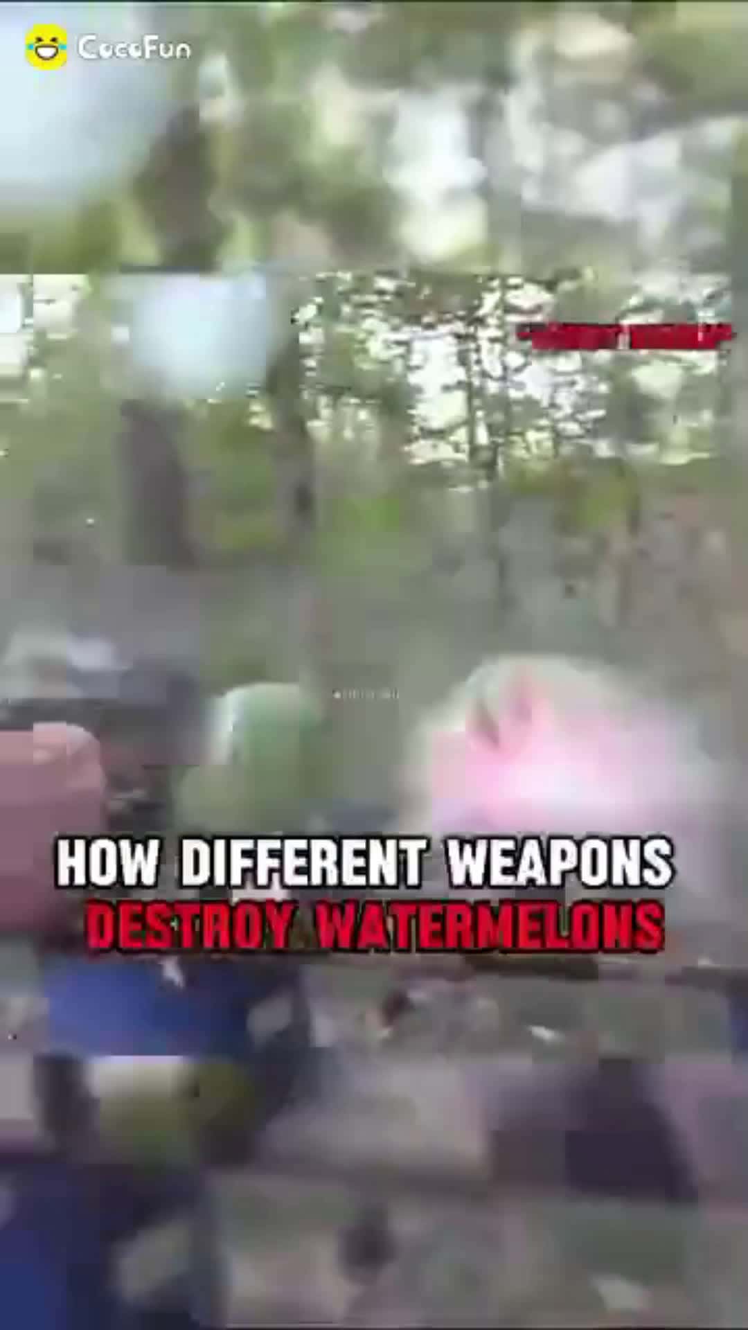 Cover for Y U hate watermelons so much