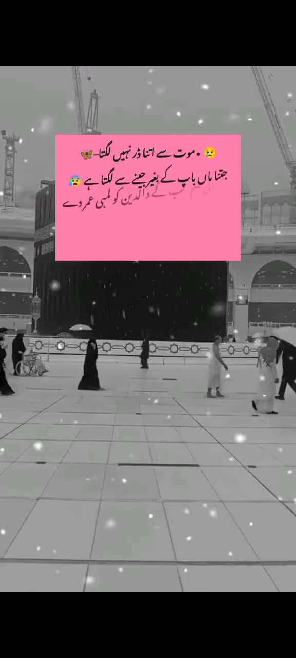 Cover for  53858 #shortvideosscoopz