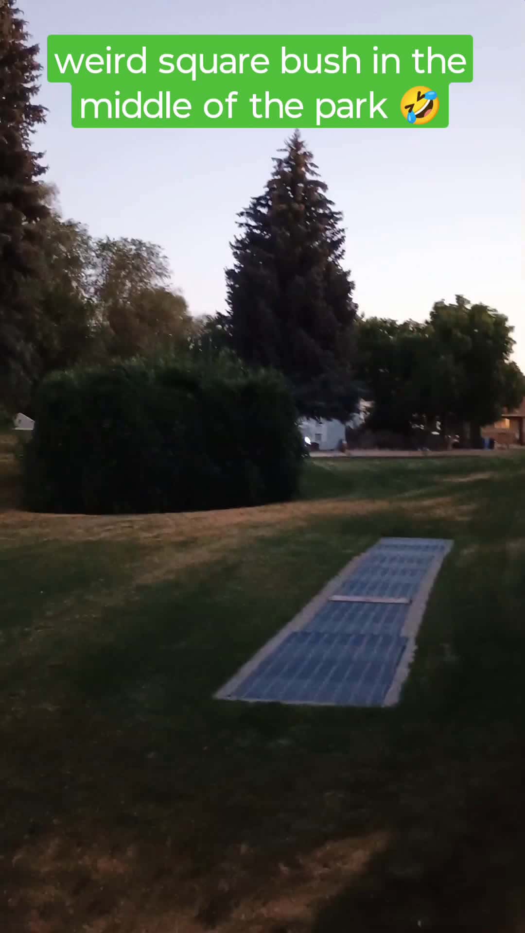 Cover for random square bush in the middle of the park! 🤣