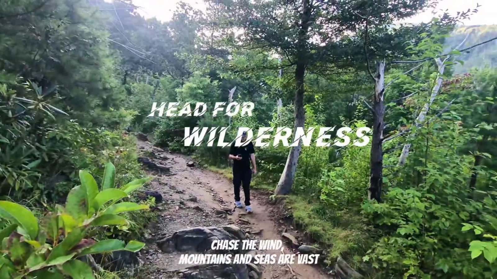 Cover for little mash up from tennessee #travel #fyp #foryou #adventure 