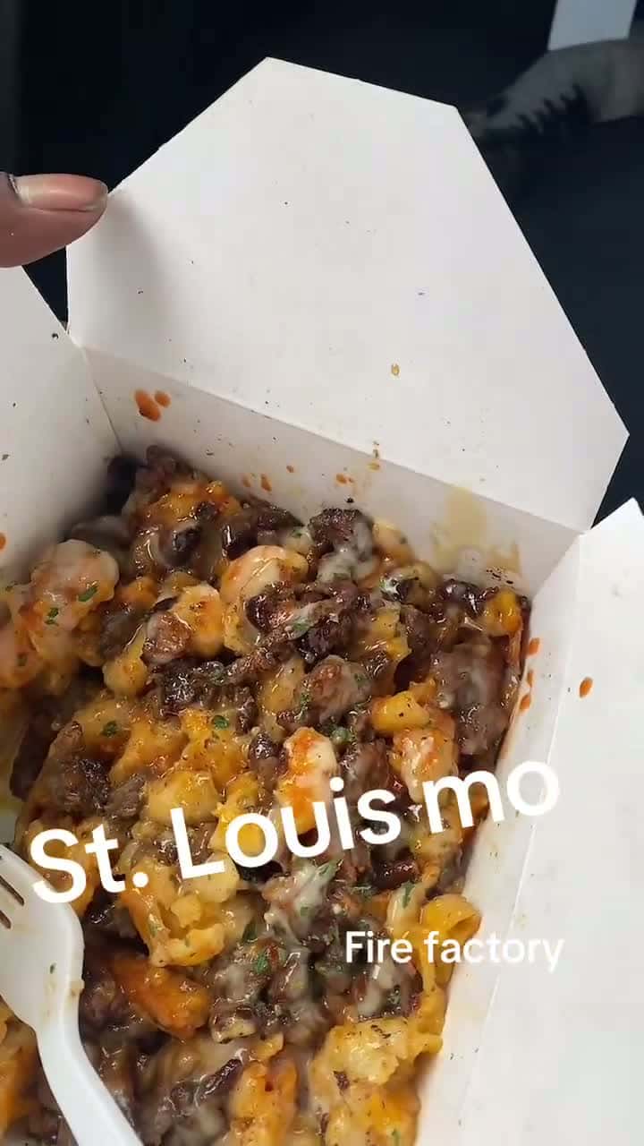 Cover for St. Louis mo