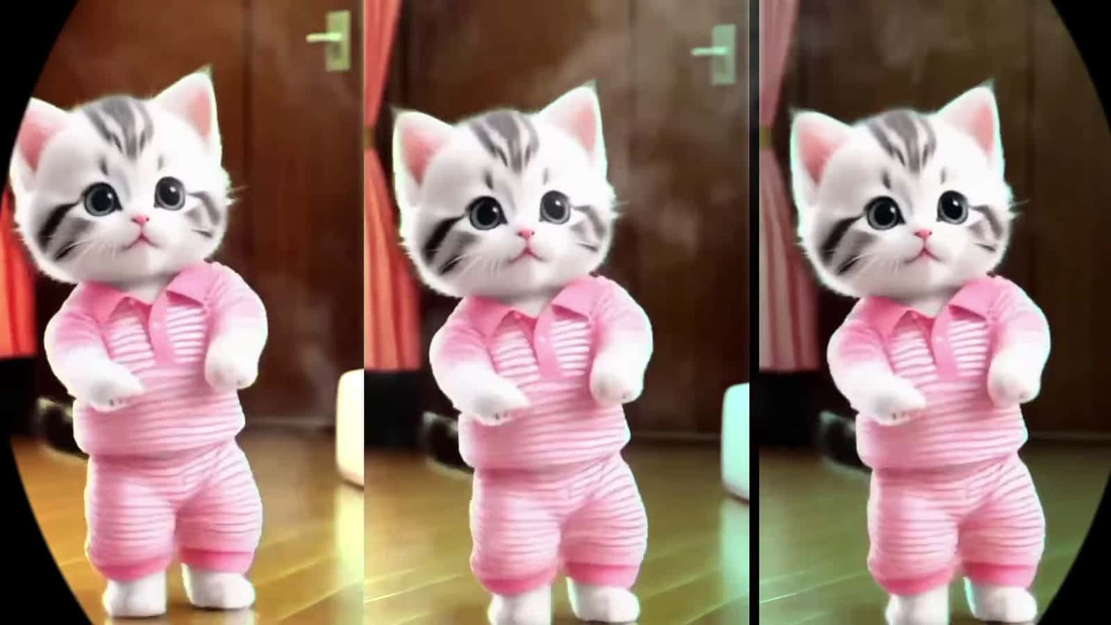 Cover for Funny Cat dancing video