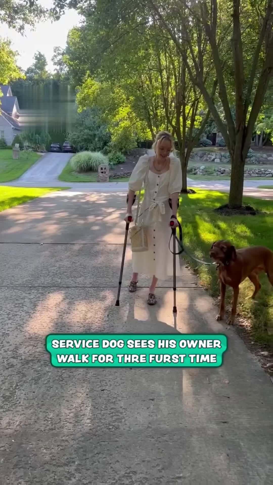 Cover for Service Dog Sees Owner Walk for the First TimeHe's so excited 🥰