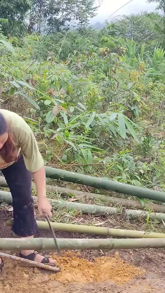 Cover for Pregnant Mother  Digging the foundation and the process of completing the bamboo toilet 13326 #shortvideosscoopz