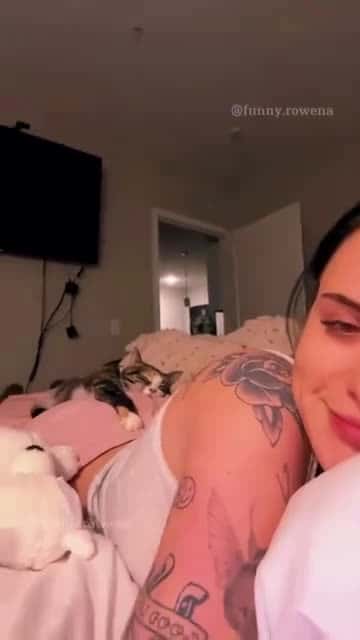 Cover for #animals #funnyvideos #funny #pet #dog #cat #laugh #cute #dogsoftiktok #catsoftiktok #fyp #foryou 12