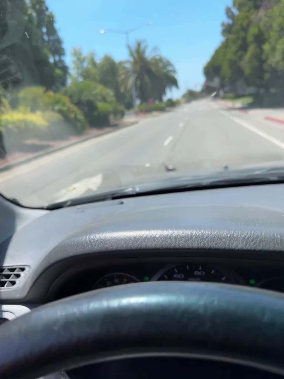 Cover for #FirstVideoChallenge Driver Helps Injured Bird on Roadside.