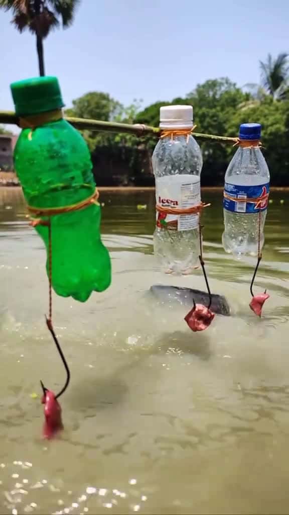 Cover for Amazing Fishing Trap System. Fish Fishing Video. Viral Fishing Video. fish fishing virals 53966 #us