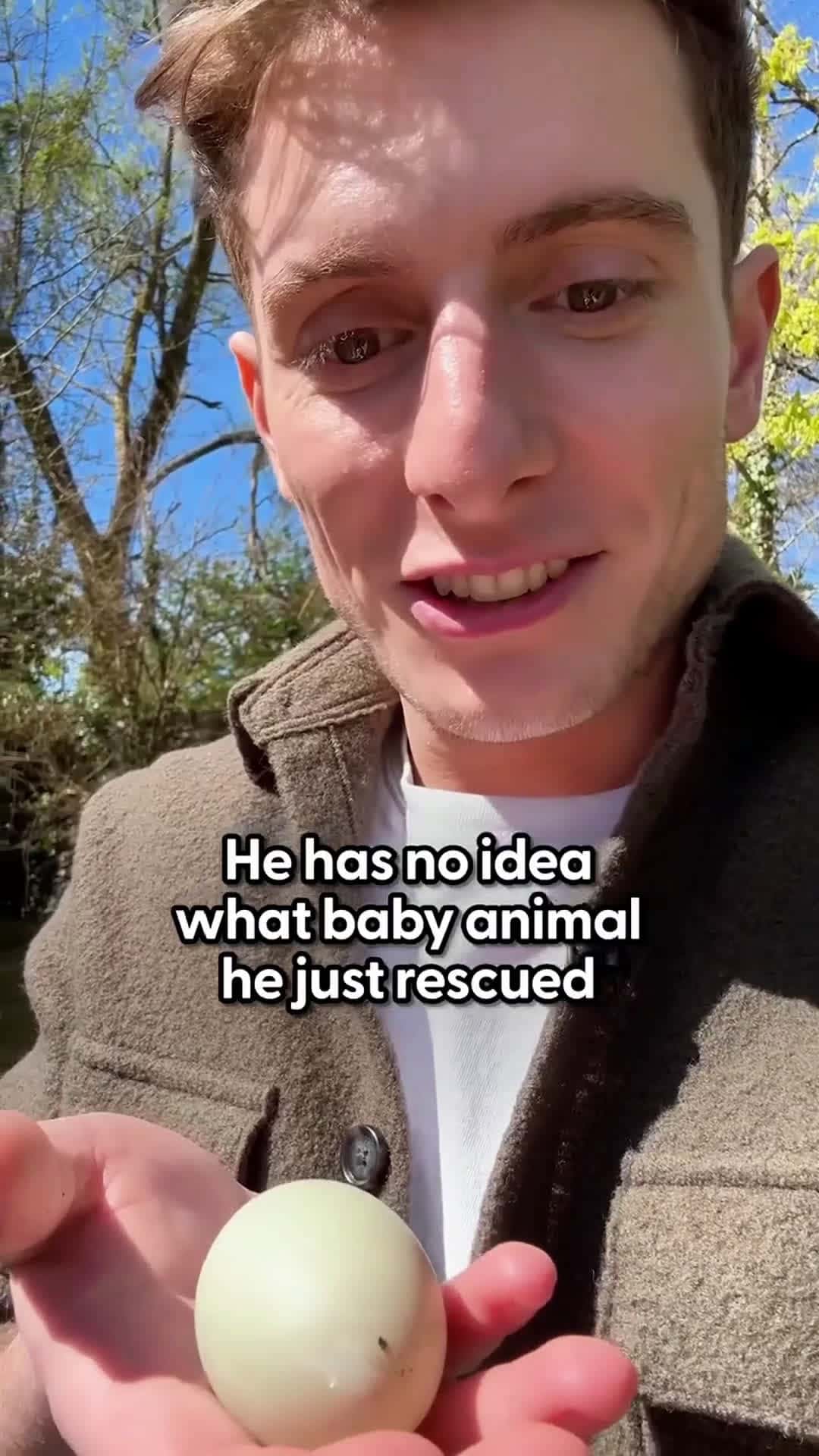 Cover for Man Finds Mysterious Egg In The Center Of London
