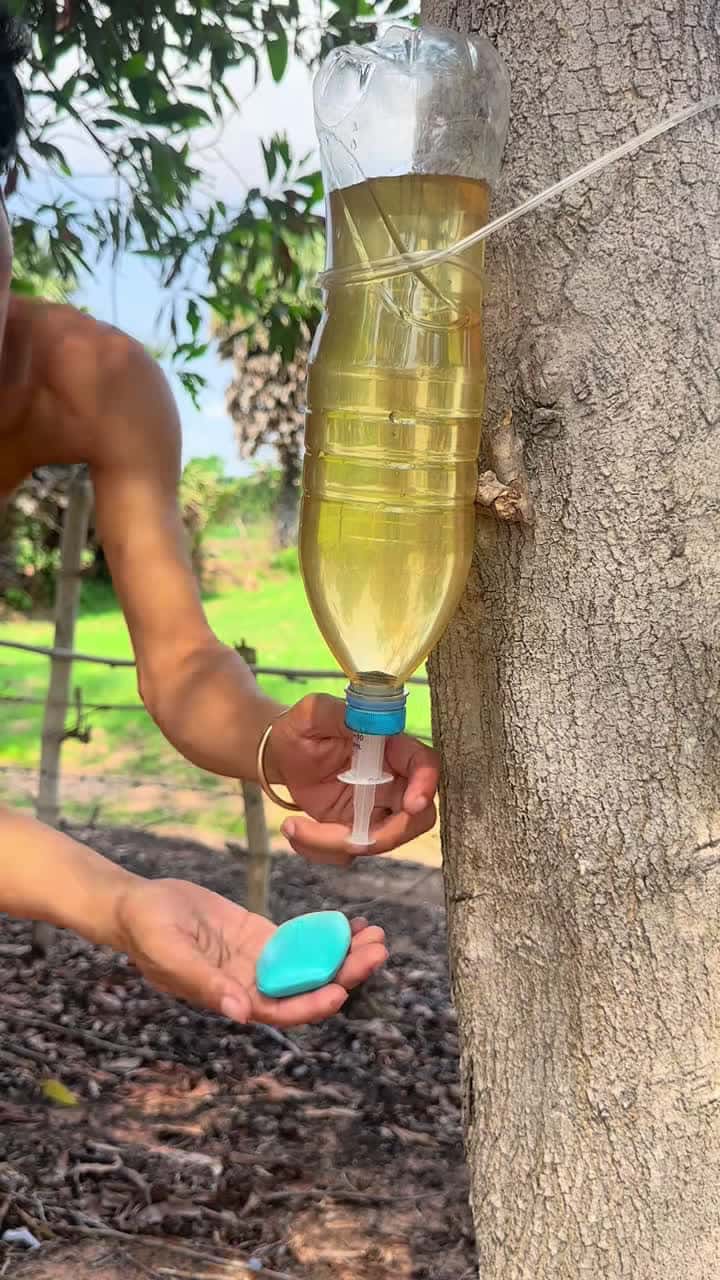 Cover for Survival Skills: Smart Skills Save SOAP And Water #survival #outdoors #camping #forest