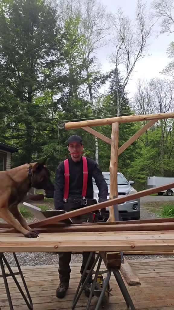 Cover for No personal space dog pet animals usa foyou 49150 #nicevideo