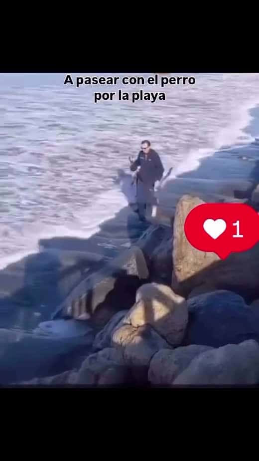 Cover for his dog knew something was wrong 🤣. #funny  #trending  #viral  #scoopz 