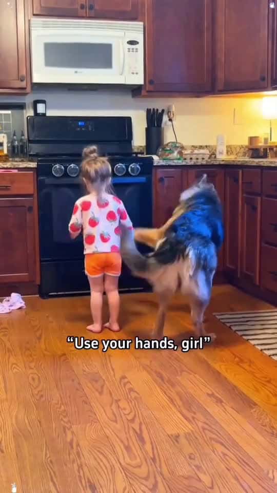 Cover for They are the best combination dog baby Love bestfriend lovestory cute dogsoftiktok foryou 53854 #american