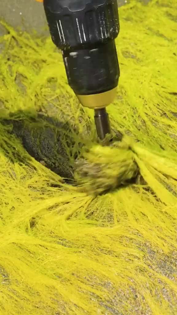 Cover for Seaweed is my new makeup essential  DIY fyp craft beauty natural howto seaweed li 87807 #us