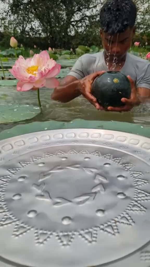Cover for Unbelievable technique Watermelon trap fishing fish trap fishing video reels 03822 #shortvideosscoopz
