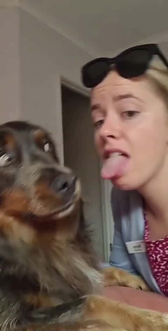 Cover for The dog s gaze speaks for itself dog dogs dogsoftiktok funnydog funny for foryou fyp kiss 81514 #america