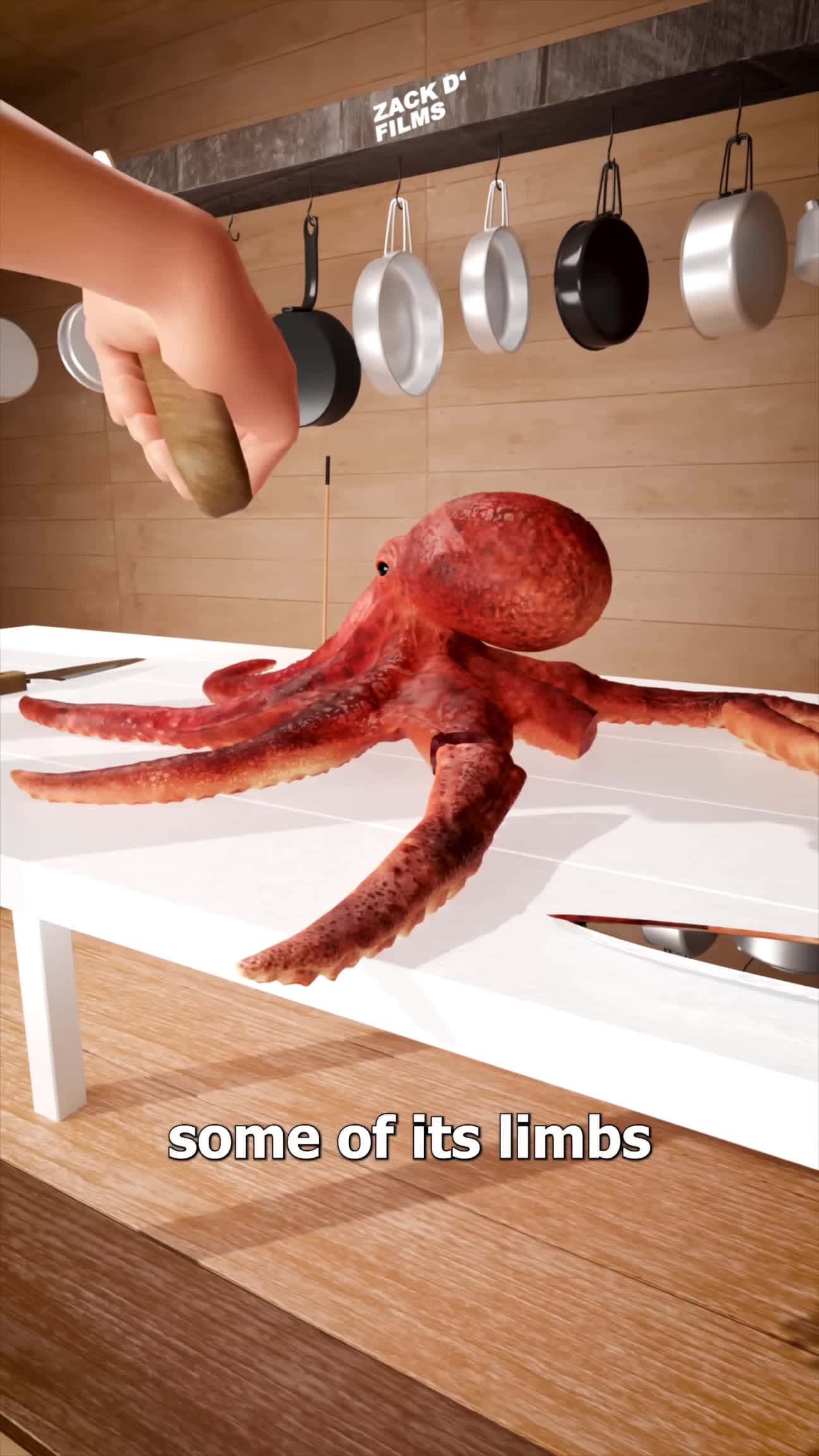 Cover for Octopus Limb Regrowth 🤔