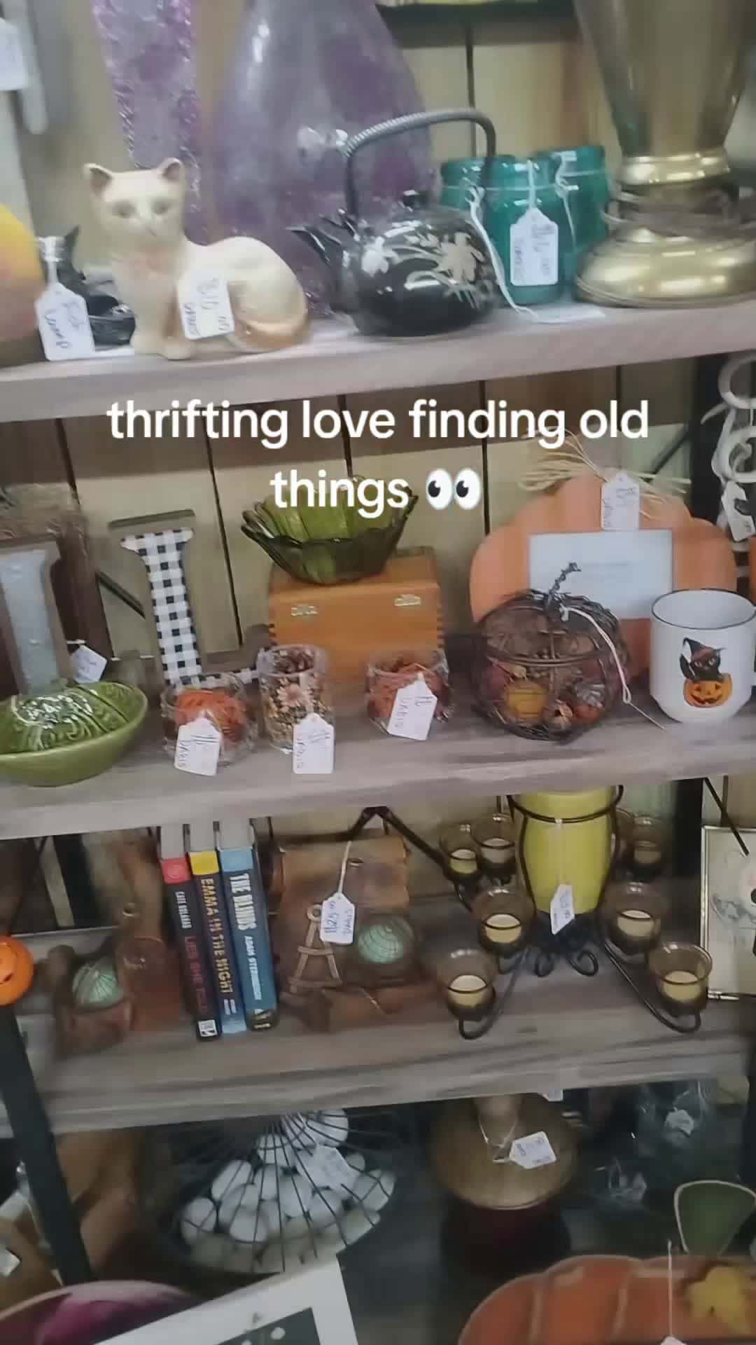 Cover for love finding old things 