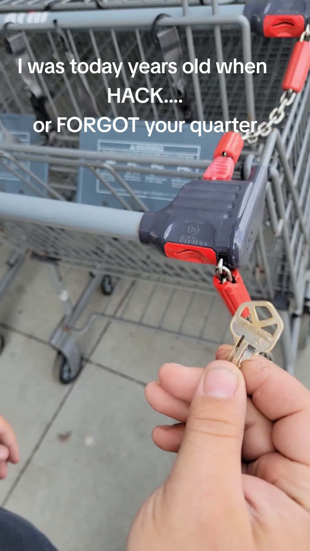 Cover for ALDI cart 🛒 hack