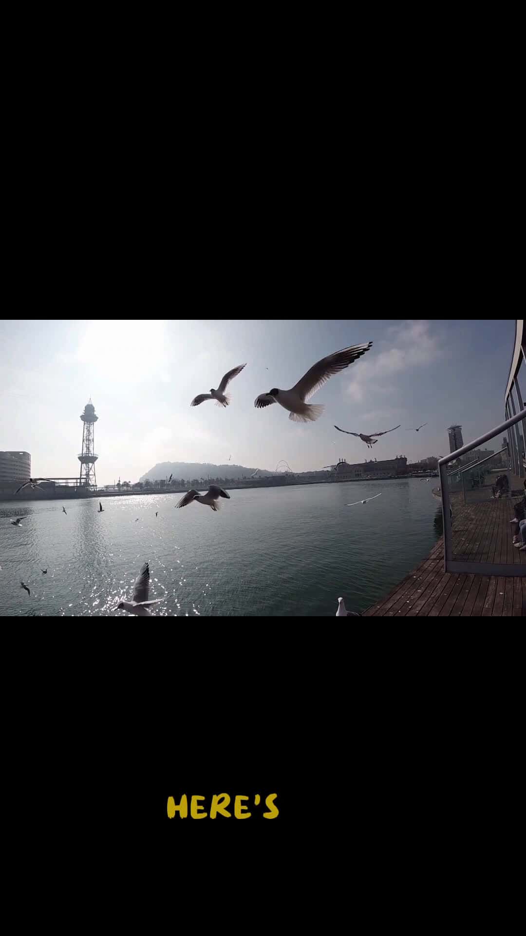Cover for new video every day #news #shorts #ne