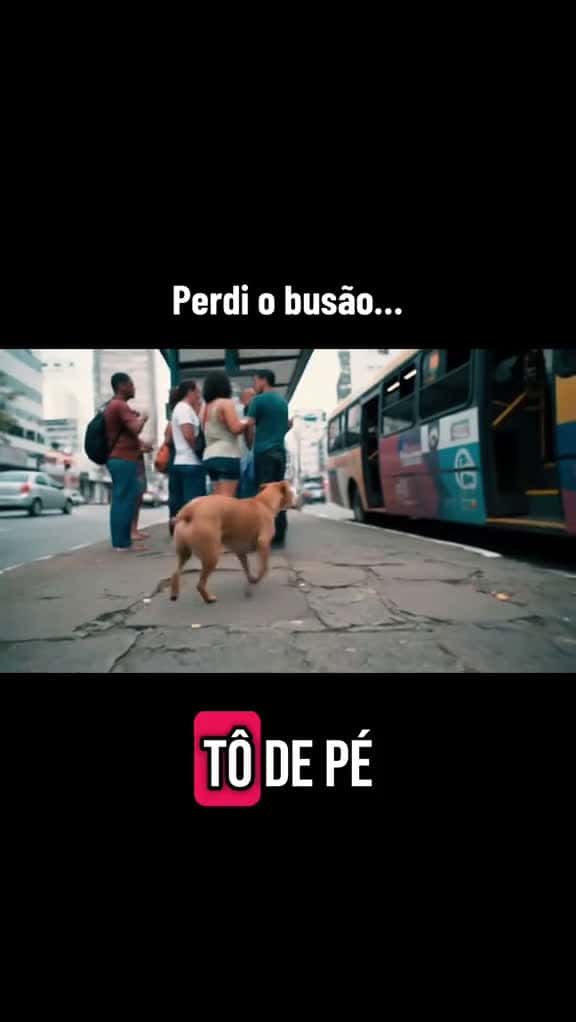 Cover for Motora t tirando com a minha cara s pode ningu m respeita mais respeito cachorrocaramelo c 98303 #shortvideosscoopz
