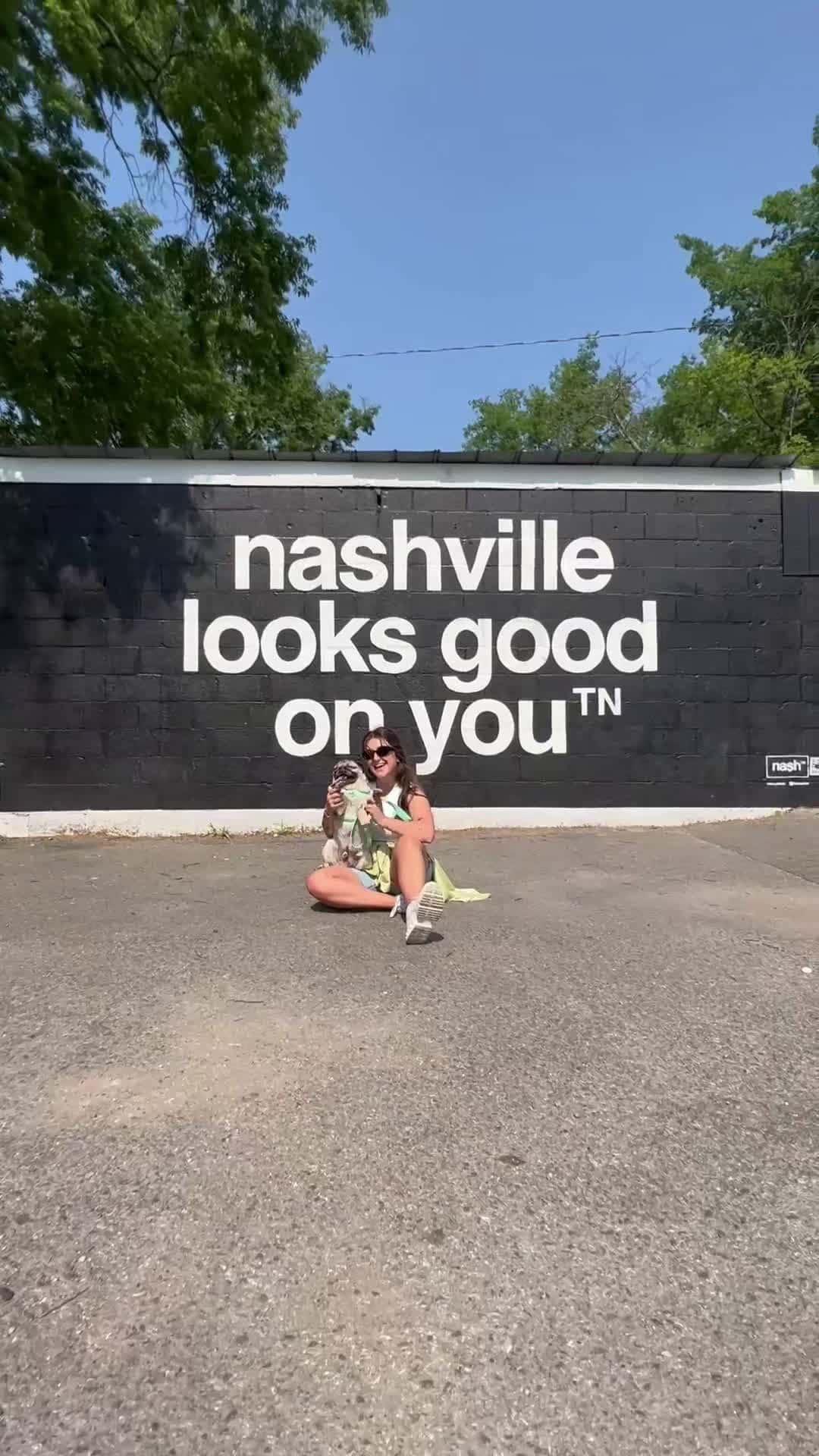 Cover for Taking @dougthepug on a dog-friendly journey around Nashville with @H...