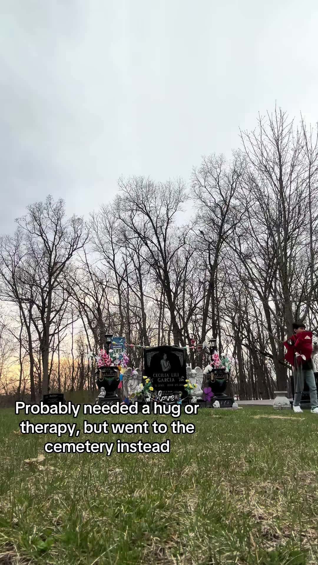 Cover for nephew always loves seeing his sister 💗💗 #trending #foryoupage #niece