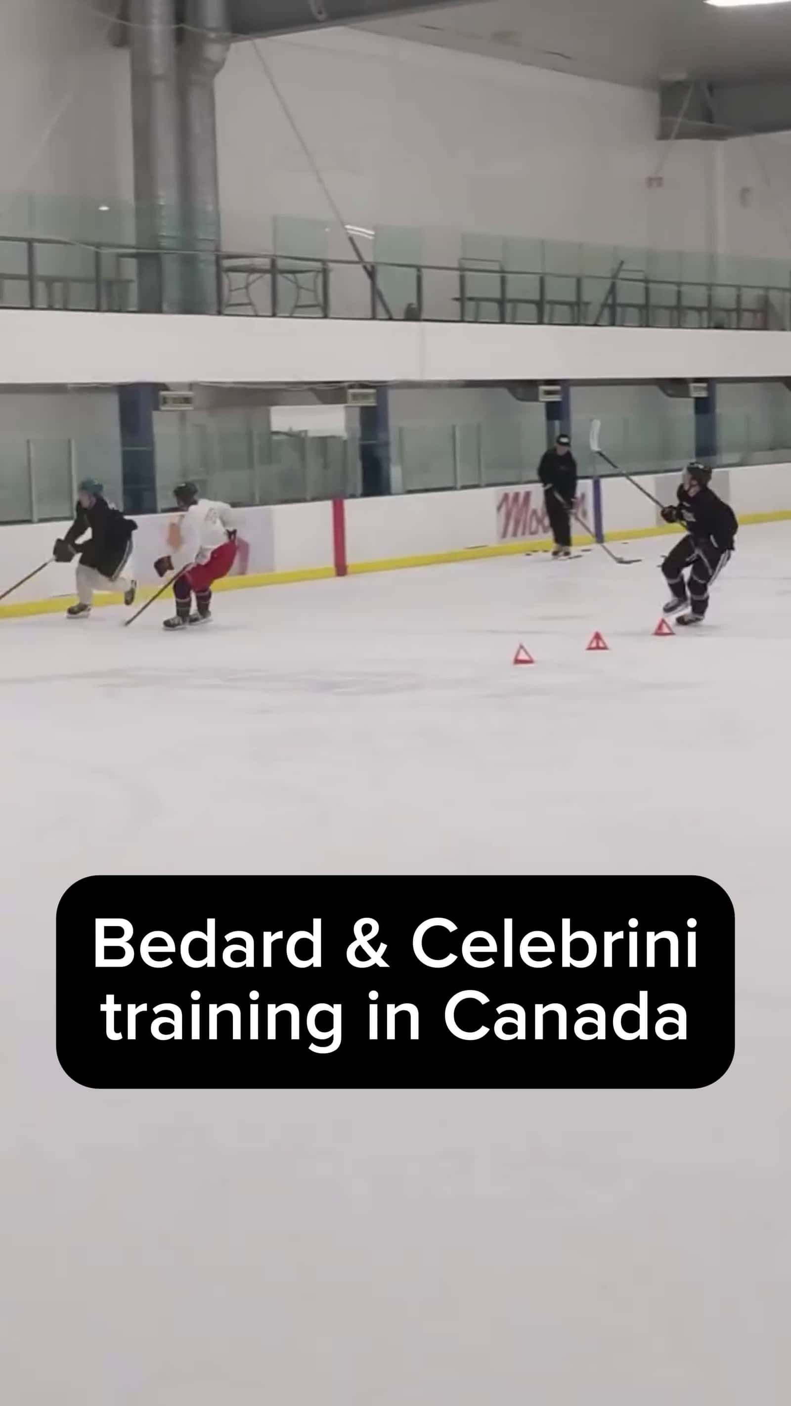 Cover for Bedard & Celebrini Offseason Training👀
