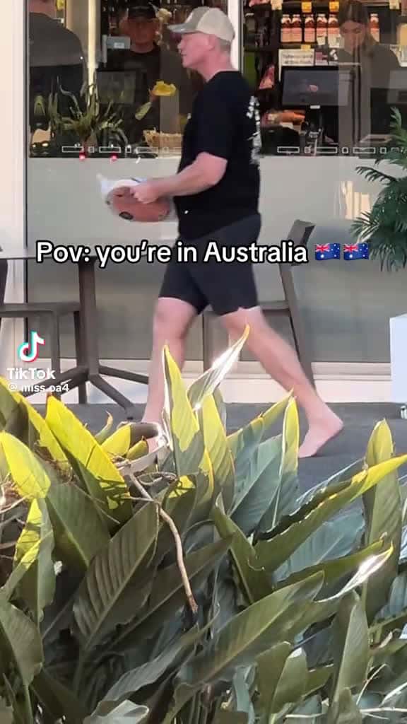 Cover for #caughtoncamera #australia #fun #funniestvideoonmyphone