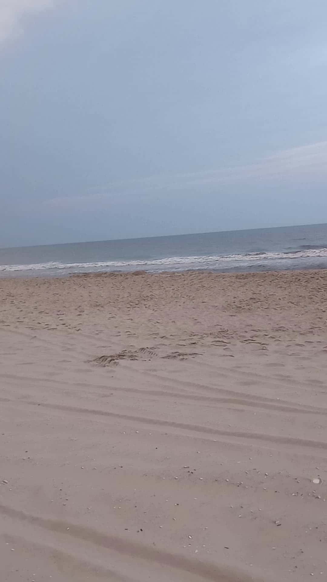 Cover for Beach at Long Beach Island 