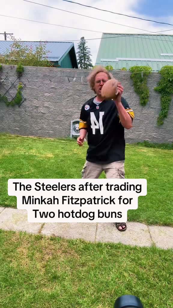 Cover for Steelers Memes: The Fitzpatrick Trade Reaction