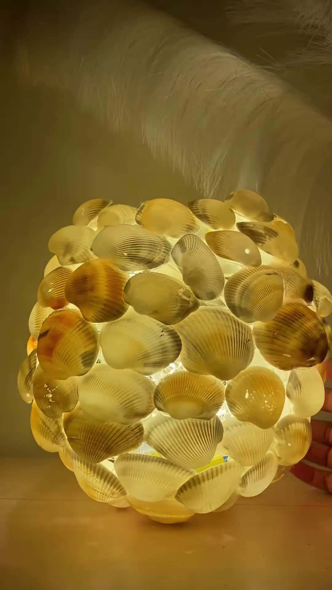 Cover for Lamps & vases made from seashells ❤️‍🔥#foryou  #tips #ideas #tutorial #diy  #lifehacks 