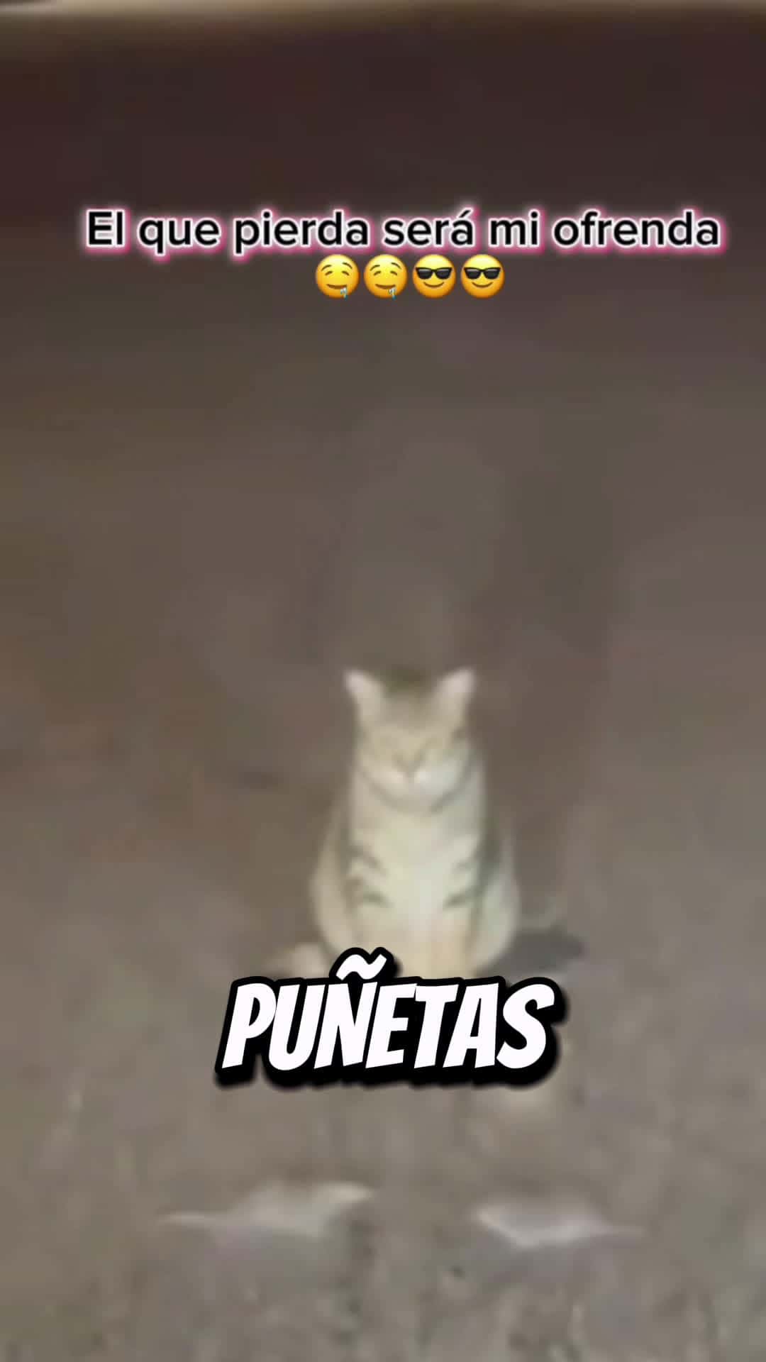 Cover for El que pierda me lo tragaré 🫡🫡🫡#purarisa #ofrendas #lucifer #paratiiiiiiiiiiiiiiii #humor #comedia #peleas #fight