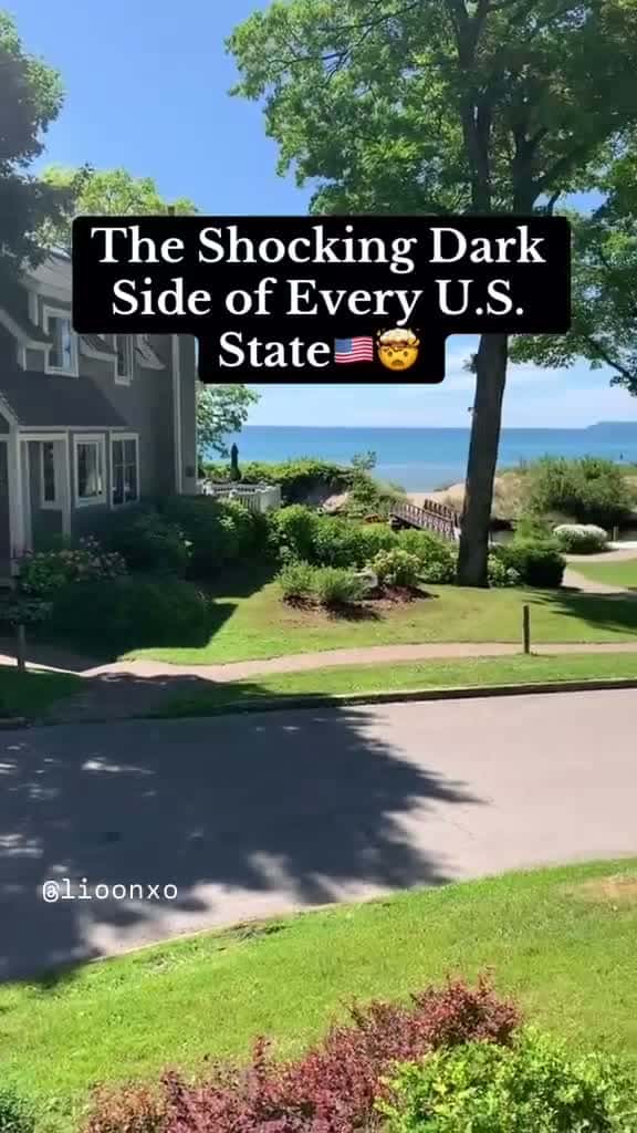 Cover for what did you think about America State 