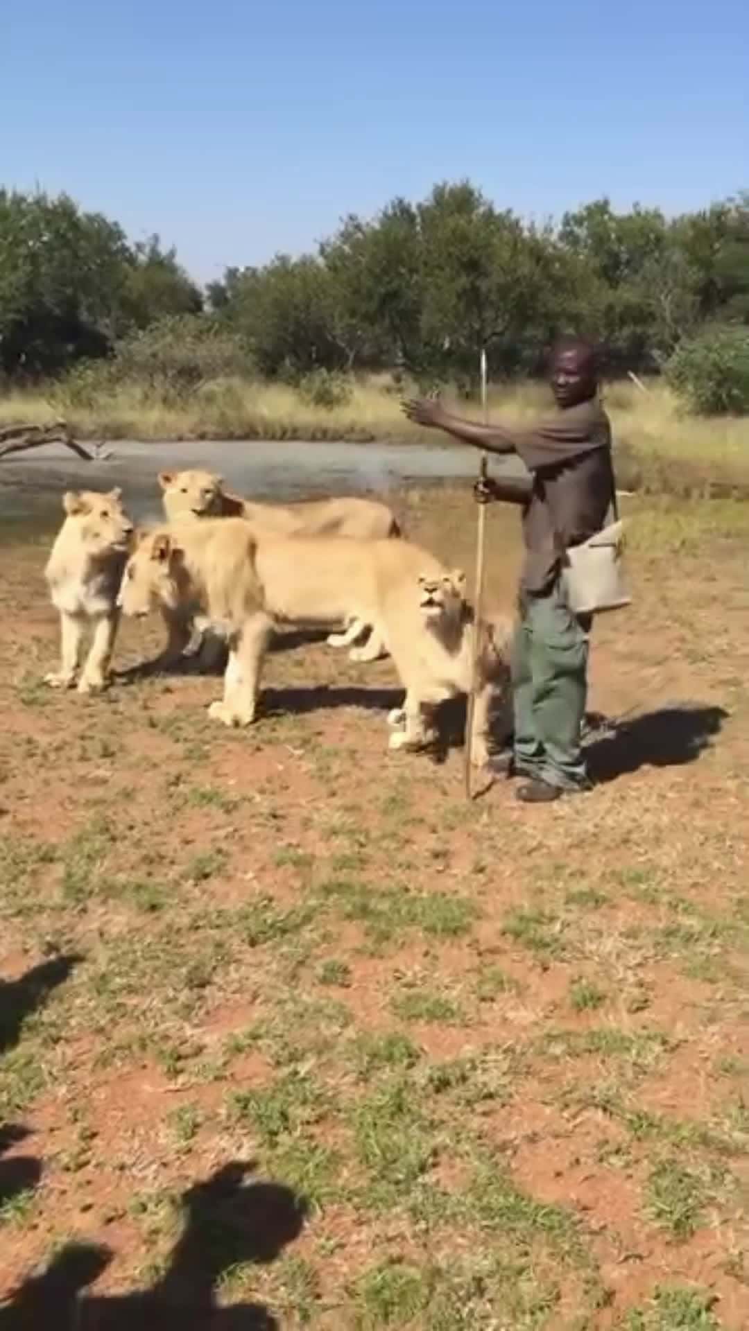 Cover for Imagine how bold this man has to be 🤔 #viral