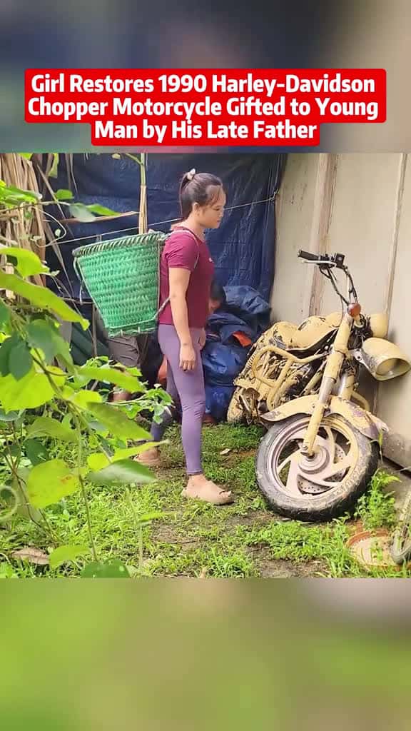 Cover for foryou fyp 03967 #shortvideos