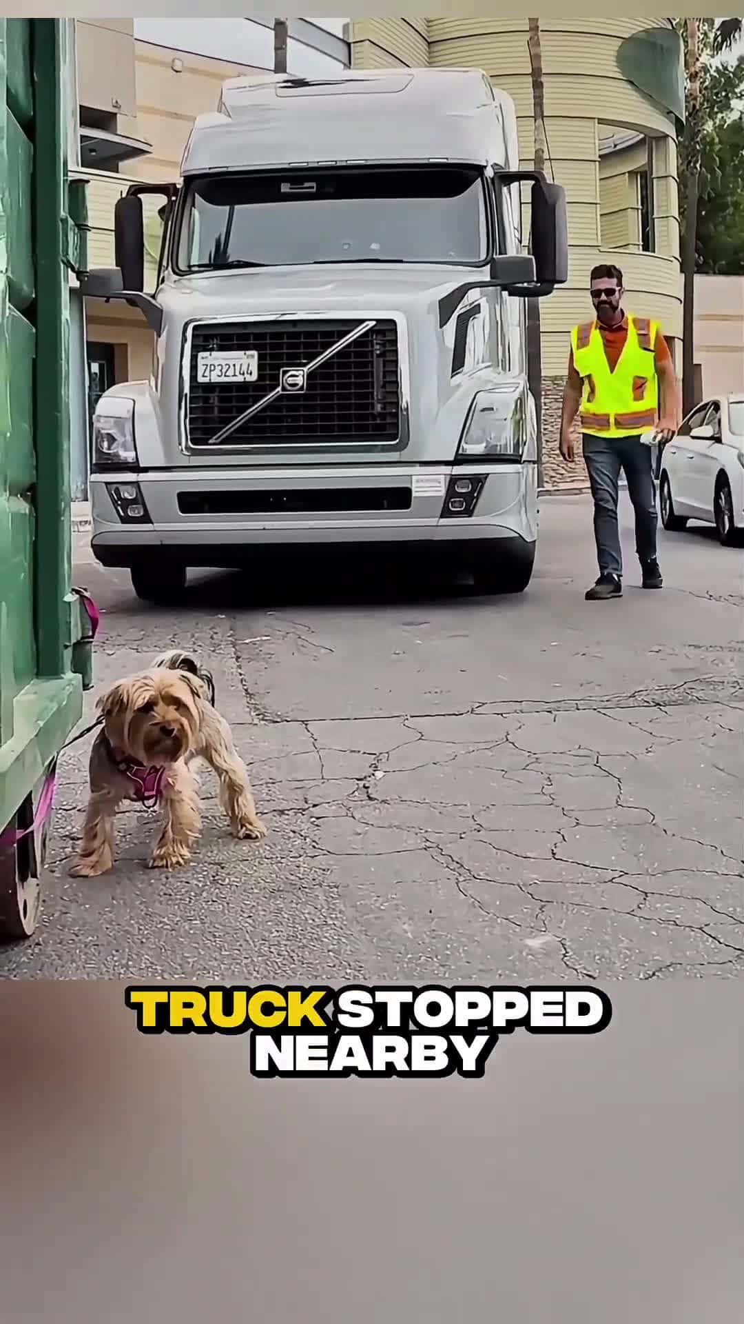Cover for Kind Truck Driver Rescues Stuck Puppy and Refuses Reward! #scoopzanimalvideo 