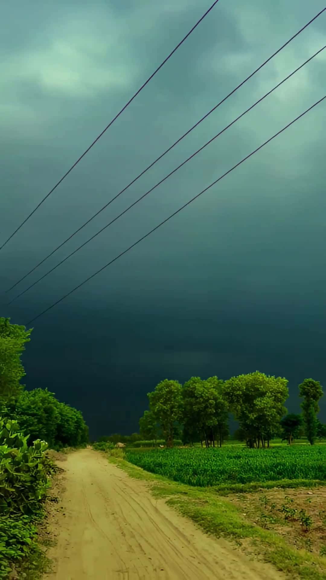 Cover for AIWhispers What sign enjoys this feeling? #ZodiacPersonality#StormySkies#NatureInspo#AIVisuals#TranquilMoment