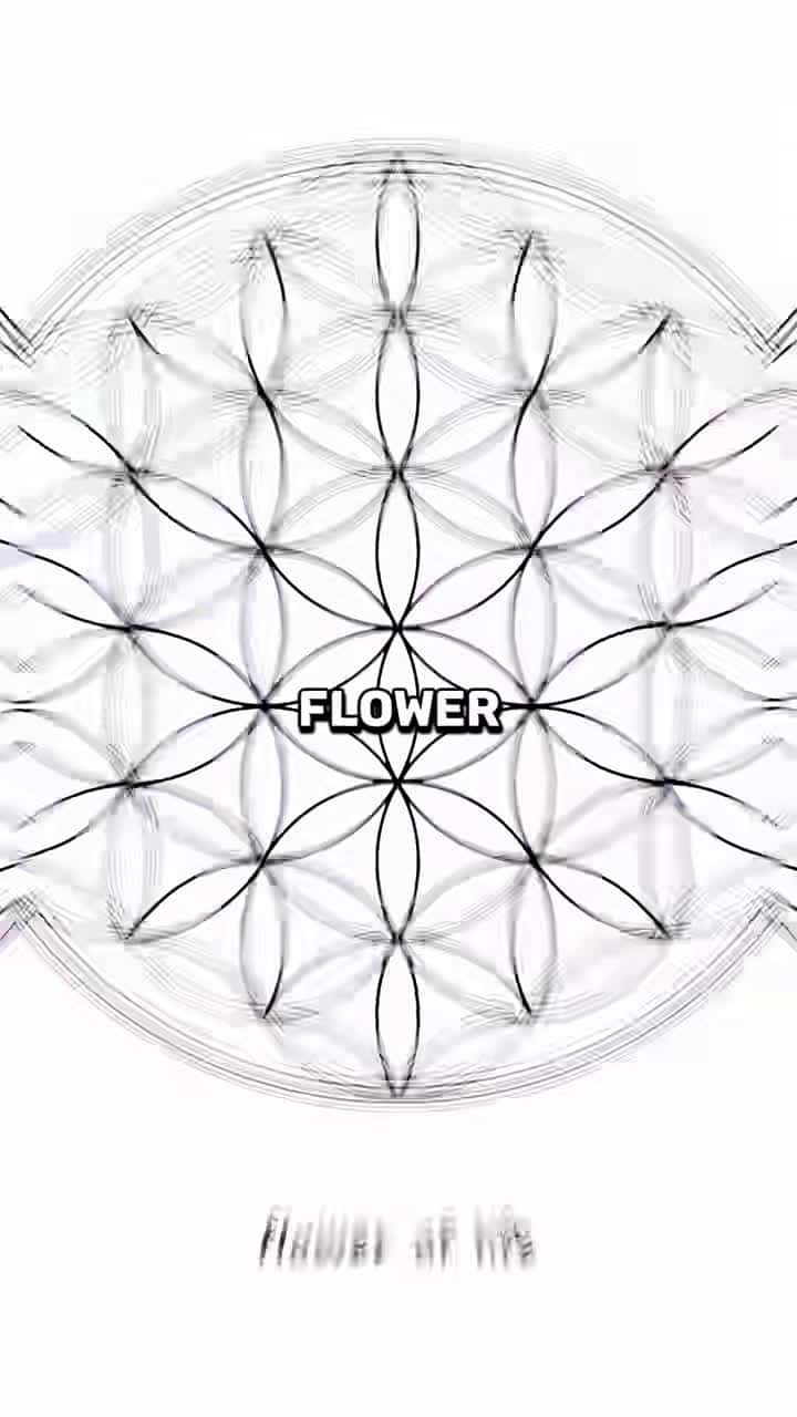 Cover for #UnpopularOpinion The Truth About The Flower Of Life