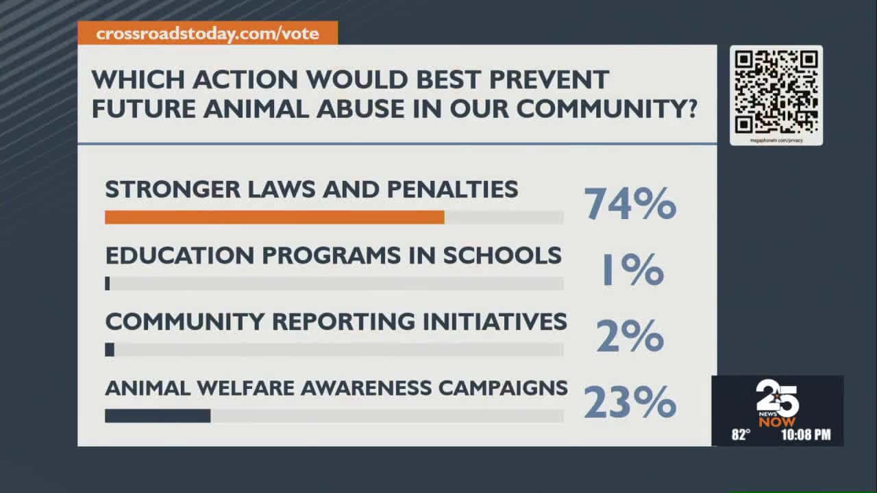 Cover for Viewer poll: animal abuse prevention