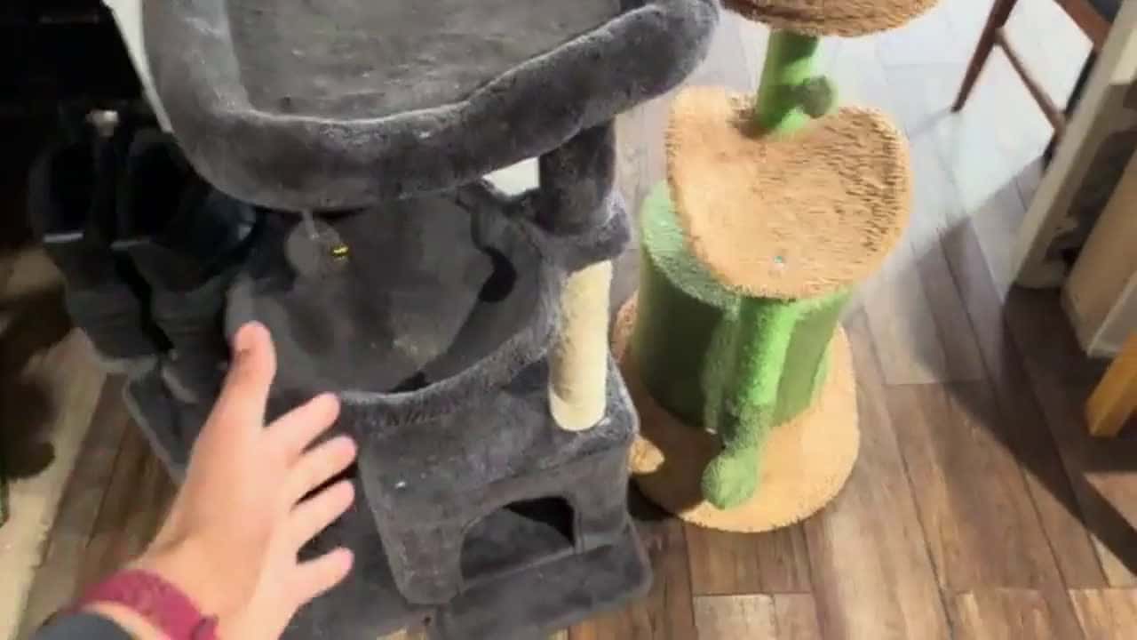 Cover for Update On The Yaheetech 62.2inches Cat Tree