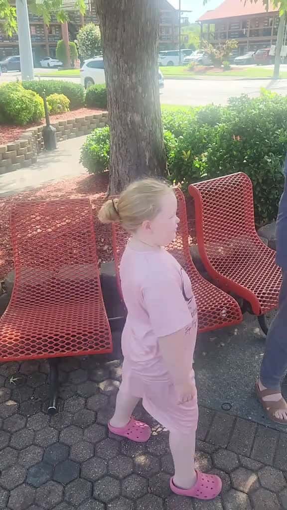 Cover for #themepark #pigeonforge #lifeslittlemoments #tiktokvideos #jesus #faith #themeparkrides  created by GODS LITTLE TREASURES with GODS LITTLE TREASURES’s original sound