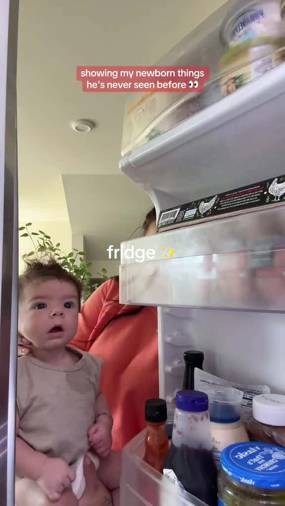 Cover for no bc hes literally me when I see the fridge me when i think about going outside trending 93866 #shortvideosscoopz