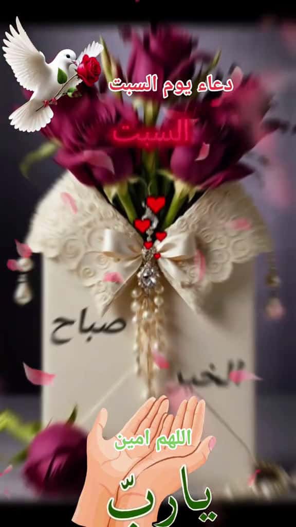 Cover for                   fyp           muslim fyp explore fyp fyp fypppppppppppppp               77526 #followMe