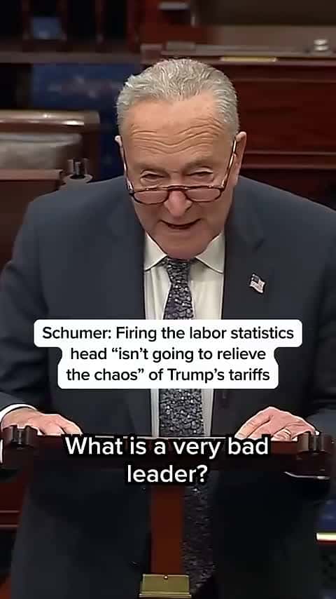 Cover for Schumer: Firing the labor statistics head 'isn't going to relieve the chaos' of Trump's tariffs