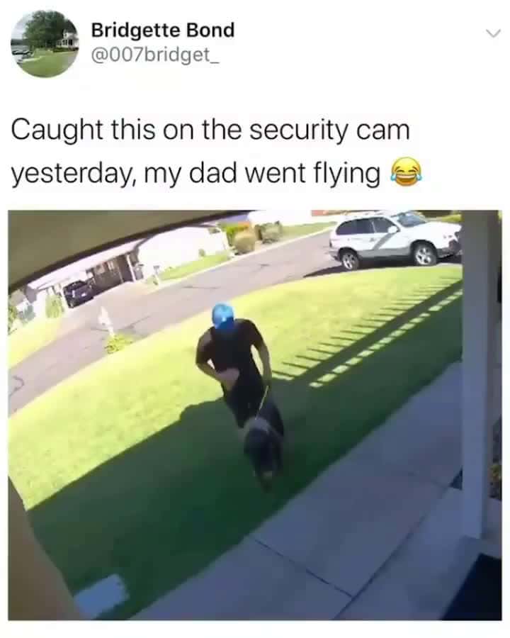 Cover for The End 🤣🤣 #funny #funnyvideos #animals #dog #cat #pet #viarl #foryou #fyp