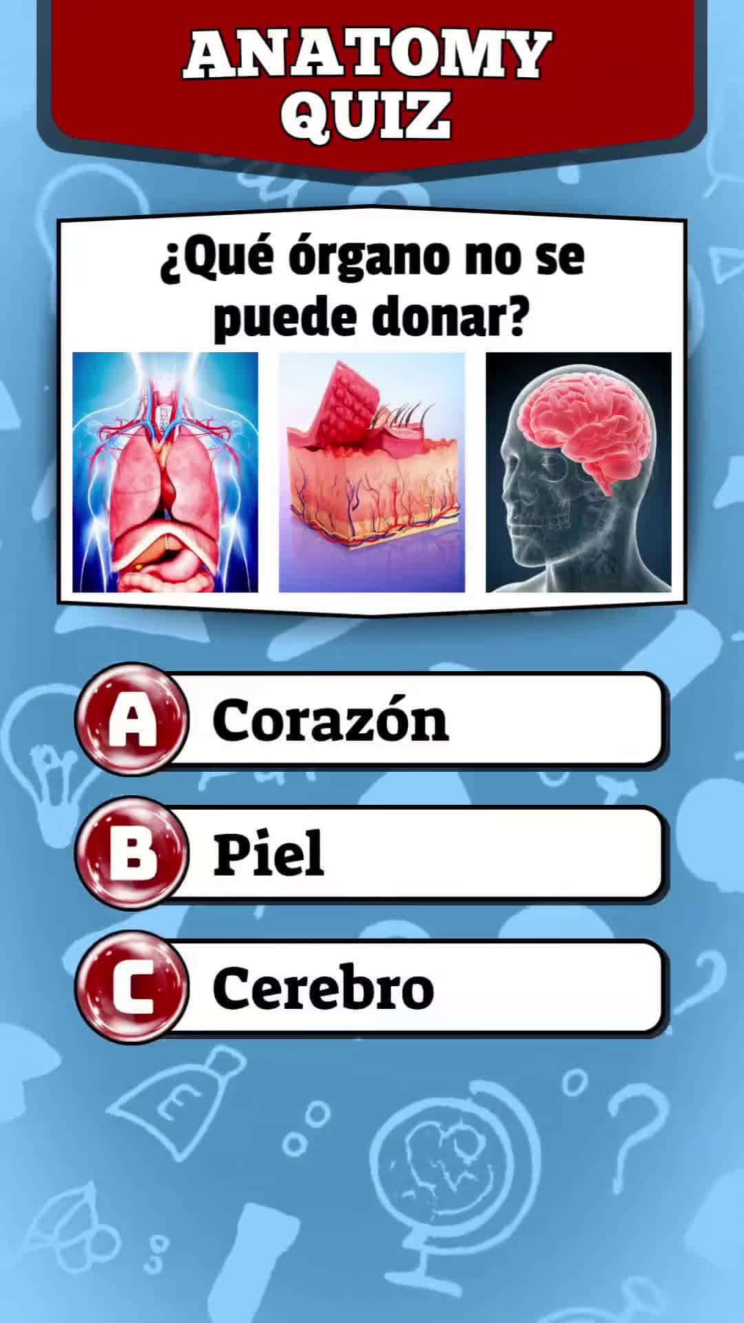 Cover for ANATOMY QUIZ! #quiz #preguntasyrespuestas #knowledge #generalknowledge #trivia #anatomy #medicine #lernenmittiktok #quizchallenge