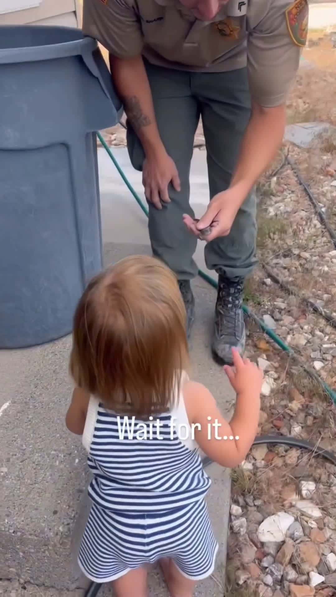 Cover for Bless her heart ❤️🤣🤣🤣