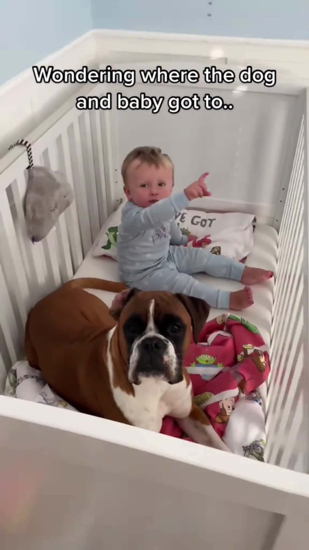 Cover for Dog and baby are best friends #dog #baby #pet #cute #Love #lovestory #bestfriend #doglover 
